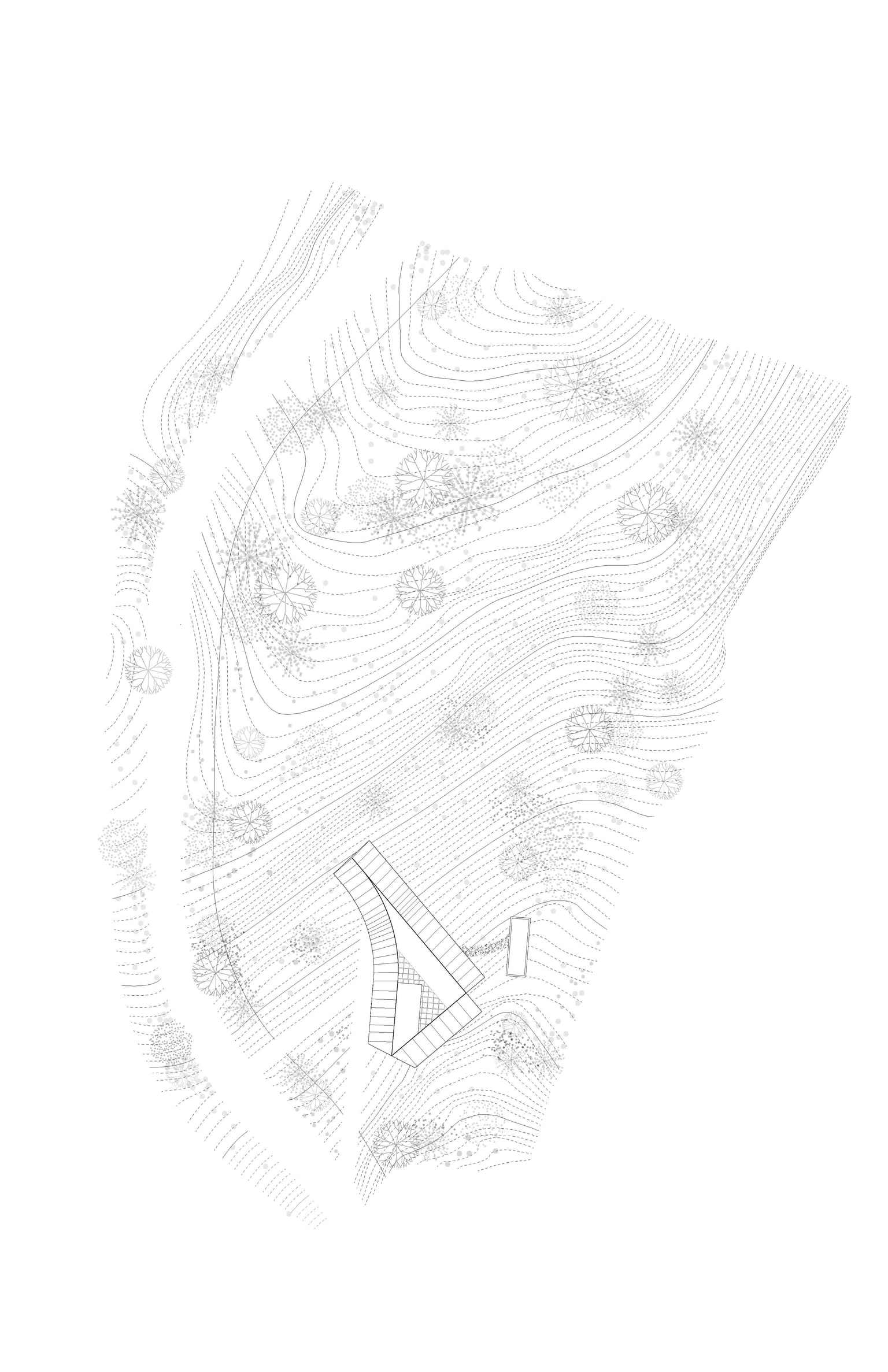 Tuscon_Site_Plan.jpg